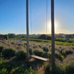 Primeira edição do Café nas Lavandas reúne visitantes no Sítio A Morada