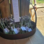 Primeira edição do Café nas Lavandas reúne visitantes no Sítio A Morada