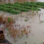 Chuva intensa provoca alagamentos em Morro da Fumaça