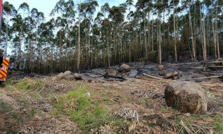 Bombeiros controlam incêndio em vegetação