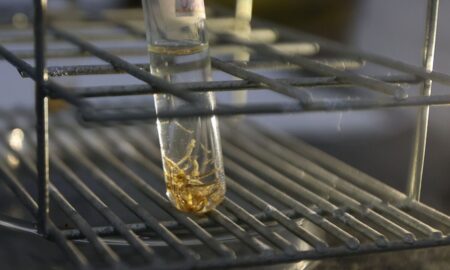 Dengue SC: com os dias quentes e úmidos, Secretaria da Saúde reforça a necessidade das medidas de prevenção contra a doença