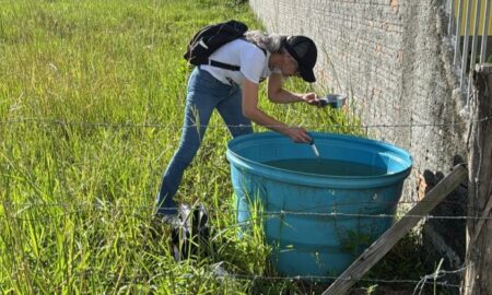 Dengue: Segundo foco do mosquito acende alerta em Morro da Fumaça