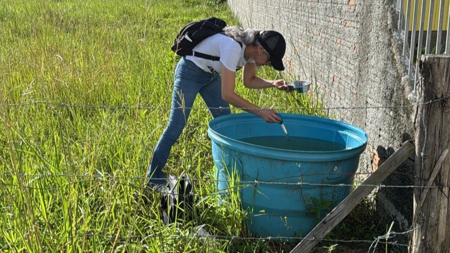 Dengue: Segundo foco do mosquito acende alerta em Morro da Fumaça