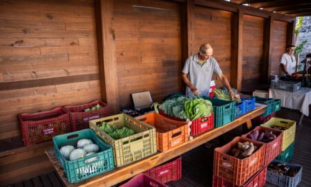 Feira da Agricultura Familiar de Morro da Fumaça retorna nesta quarta-feira
