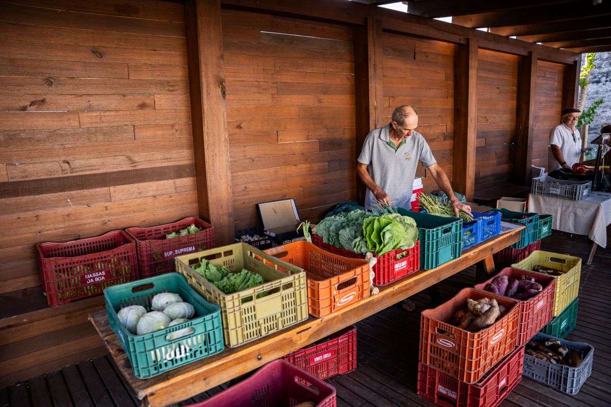 Feira da Agricultura Familiar de Morro da Fumaça retorna nesta quarta-feira