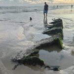 Maré baixa revela embarcações afundadas e chama atenção no Balneário Esplanada 3 Maré baixa revela embarcações afundadas e chama atenção no Balneário Esplanada