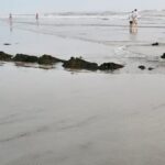 Maré baixa revela embarcações afundadas e chama atenção no Balneário Esplanada 4 Maré baixa revela embarcações afundadas e chama atenção no Balneário Esplanada