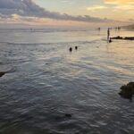 Maré baixa revela embarcações afundadas e chama atenção no Balneário Esplanada 5 Maré baixa revela embarcações afundadas e chama atenção no Balneário Esplanada