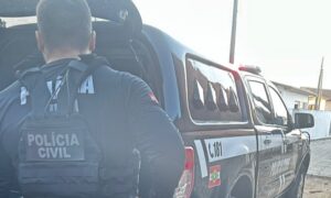 Polícia Civil prende homem por posse ilegal de arma de fogo