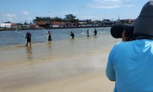 Projeto da Unesc realiza imersão técnica para avançar estudo sobre botos e pesca cooperativa