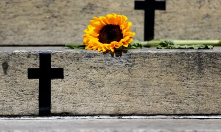 Caso de Itumbiara acende alerta para violência vicária; entenda