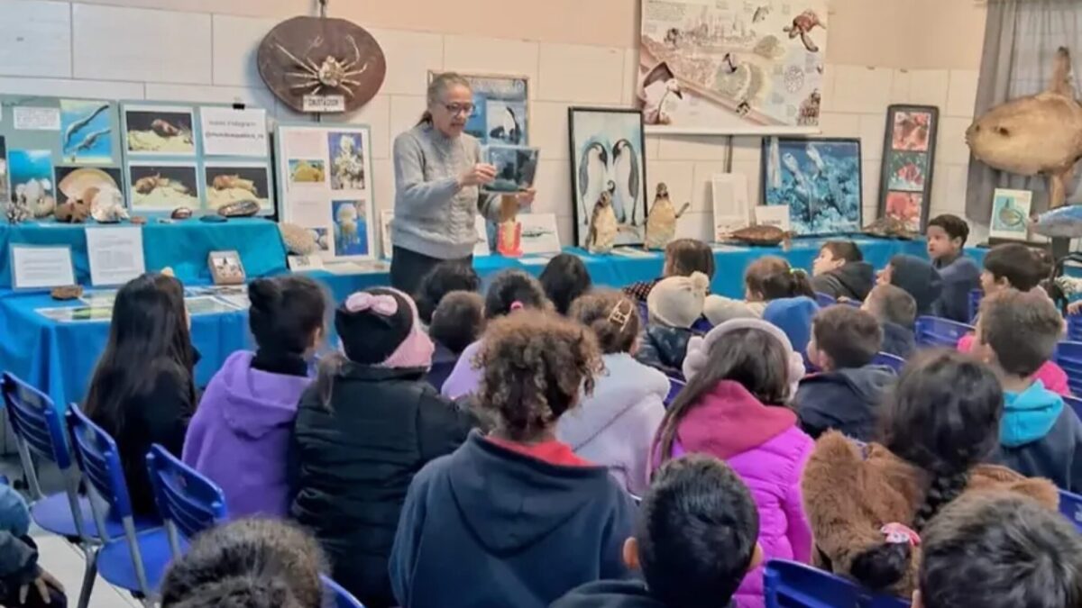 Projeto Mundo Aquático traz educação ambiental e curiosidades sobre rios e oceanos