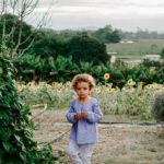 Café nas Lavandas se consolida como experiência turística em Morro da Fumaça