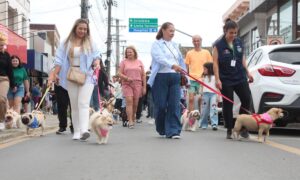 Inscrições para a 2ª Cãominhada estão abertas em Morro da Fumaça