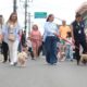 Inscrições para a 2ª Cãominhada estão abertas em Morro da Fumaça