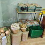 Gi Hortifruti é inaugurada em Morro da Fumaça