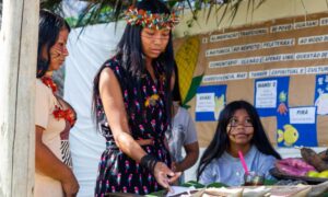 Entre resistência, tradição e transformação: o ser indígena no presente