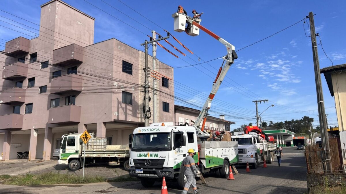 Religadores automáticos ampliam eficiência da rede elétrica da Cermoful