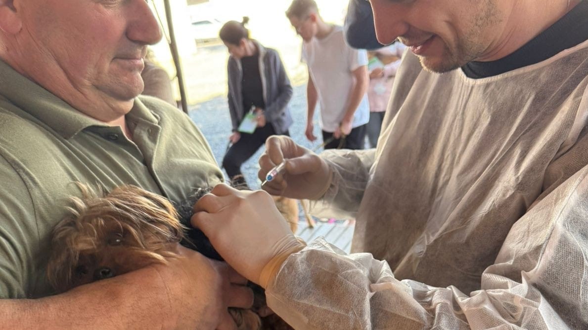 Fumaf iniciará campanha de vacinação contra a raiva e vermifugação