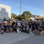 2ª Cãominhada reúne cerca de 80 cães e promove conscientização em Morro da Fumaça 4 2ª Cãominhada reúne cerca de 80 cães e promove conscientização em Morro da Fumaça