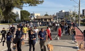 2ª Cãominhada reúne cerca de 80 cães e promove conscientização em Morro da Fumaça