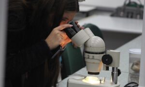 Licenciaturas da Unesc conquistam resultados de excelência no Enade 2025