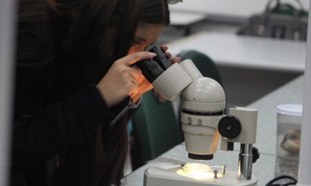 Licenciaturas da Unesc conquistam resultados de excelência no Enade 2025