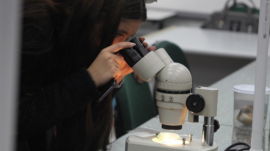 Licenciaturas da Unesc conquistam resultados de excelência no Enade 2025