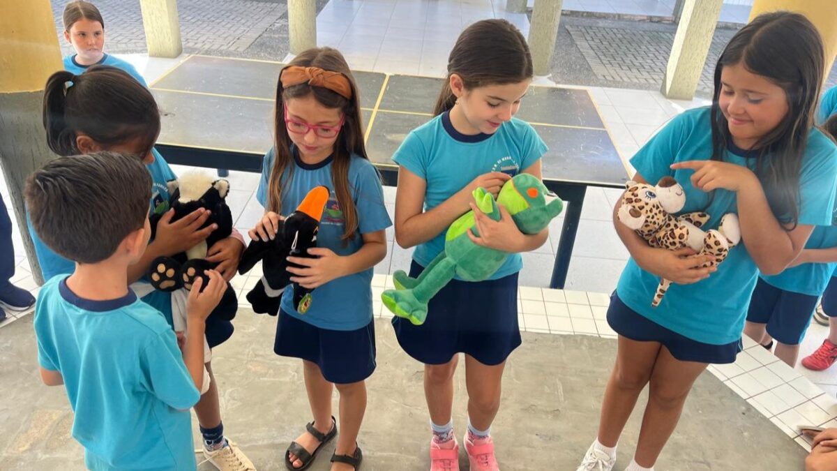 Projeto escolar fumacense valoriza a fauna local e incentiva consciência ambiental