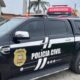 Polícia Civil apreende cães após denúncias de maus-tratos e indícios de zoofilia em Morro da Fumaça