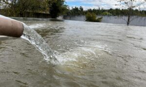 No Dia Mundial do Meio Ambiente, Samae destaca avanços que fortalecem segurança hídrica e sustentabilidade