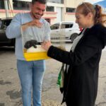 Fazendinha de São Roque terá cerca de 70 animais para leilão neste domingo 5 Fazendinha de São Roque terá cerca de 70 animais para leilão neste domingo