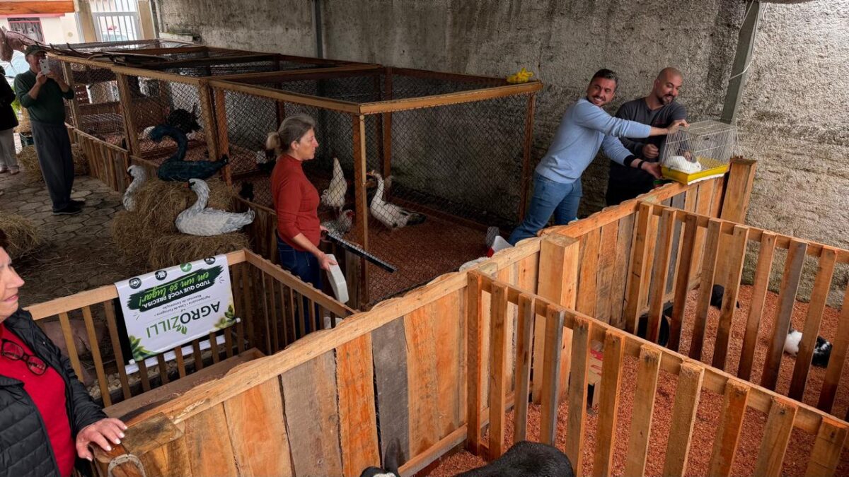 Fazendinha de São Roque terá cerca de 70 animais para leilão neste domingo