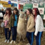 Alunos do Sanitarista Júnior visitam Feira Agroponte e ampliam aprendizado sobre o agronegócio
