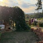 Café nas Lavandas chega à 3ª edição com novas receitas e celebra a chegada da primavera 10 Café nas Lavandas chega à 3ª edição com novas receitas e celebra a chegada da primavera