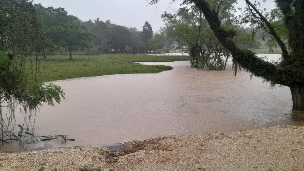 Chuva provoca pontos de alagamento e elevação de rios em Morro da Fumaça