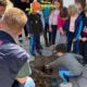 Semana do Dia da Árvore: Fumaf mobiliza alunos da rede municipal em ações de educação ambiental